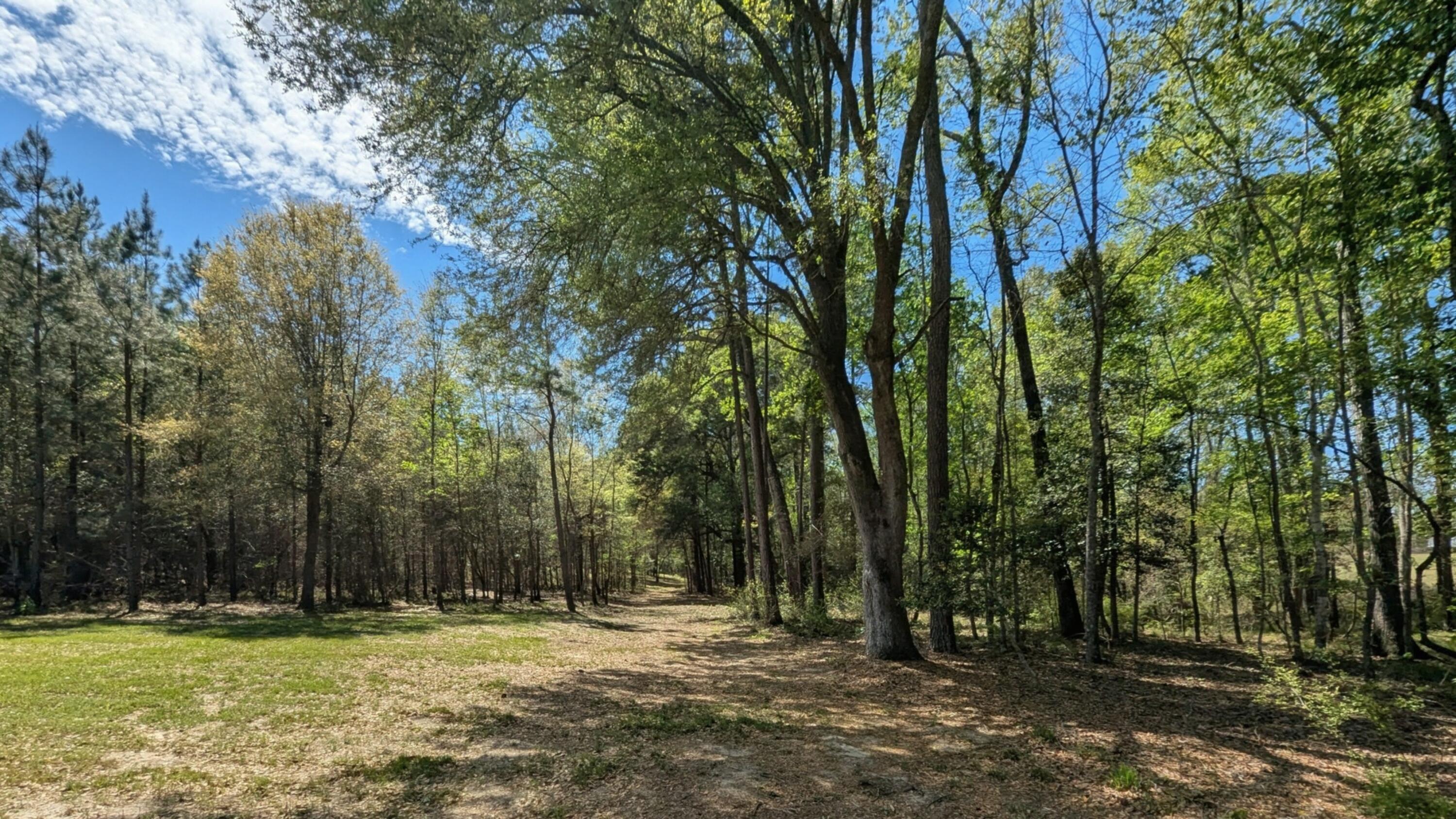 132 Oak Estates Way Ridgeville, SC 29472 - Photo 19 of 26 1000004649