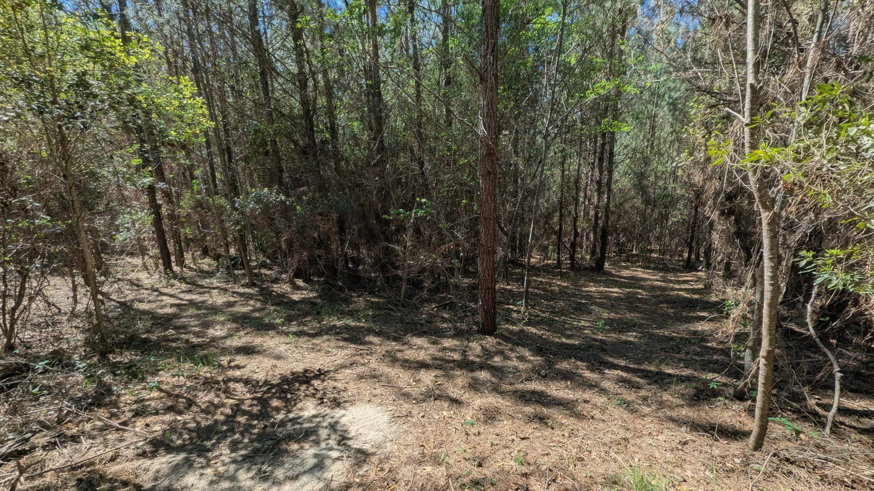 132 Oak Estates Way Ridgeville, SC 29472 - Photo 21 of 26 1000004639