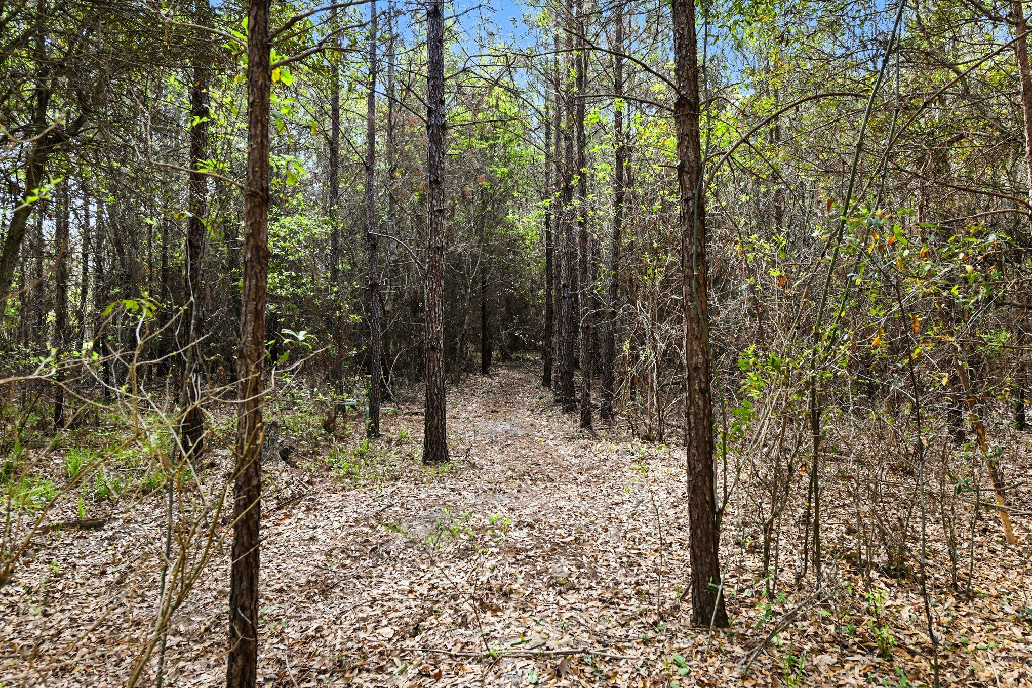 132 Oak Estates Way Ridgeville, SC 29472 - Photo 22 of 26 014_file_7749