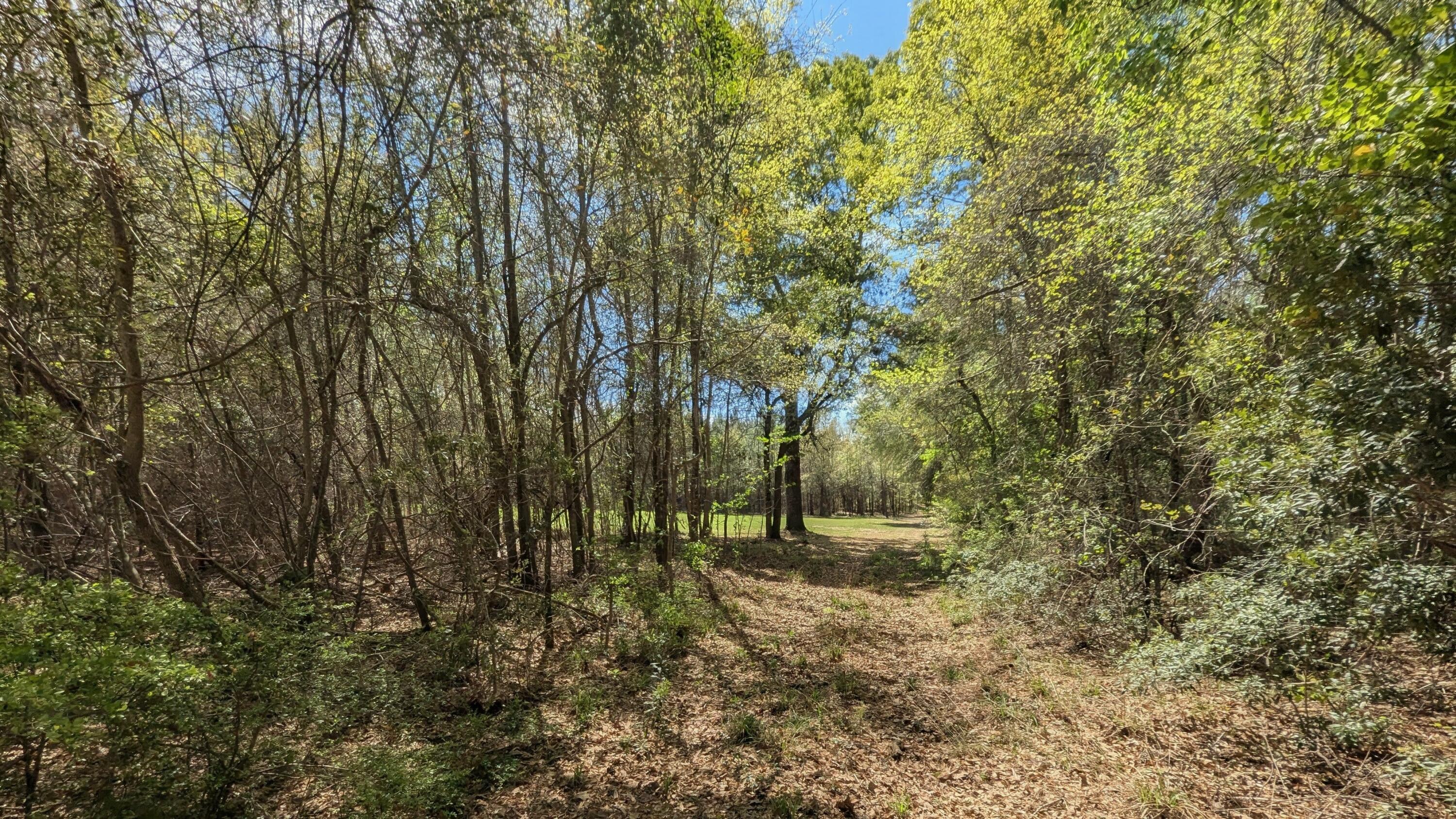 132 Oak Estates Way Ridgeville, SC 29472 - Photo 23 of 26 1000004643