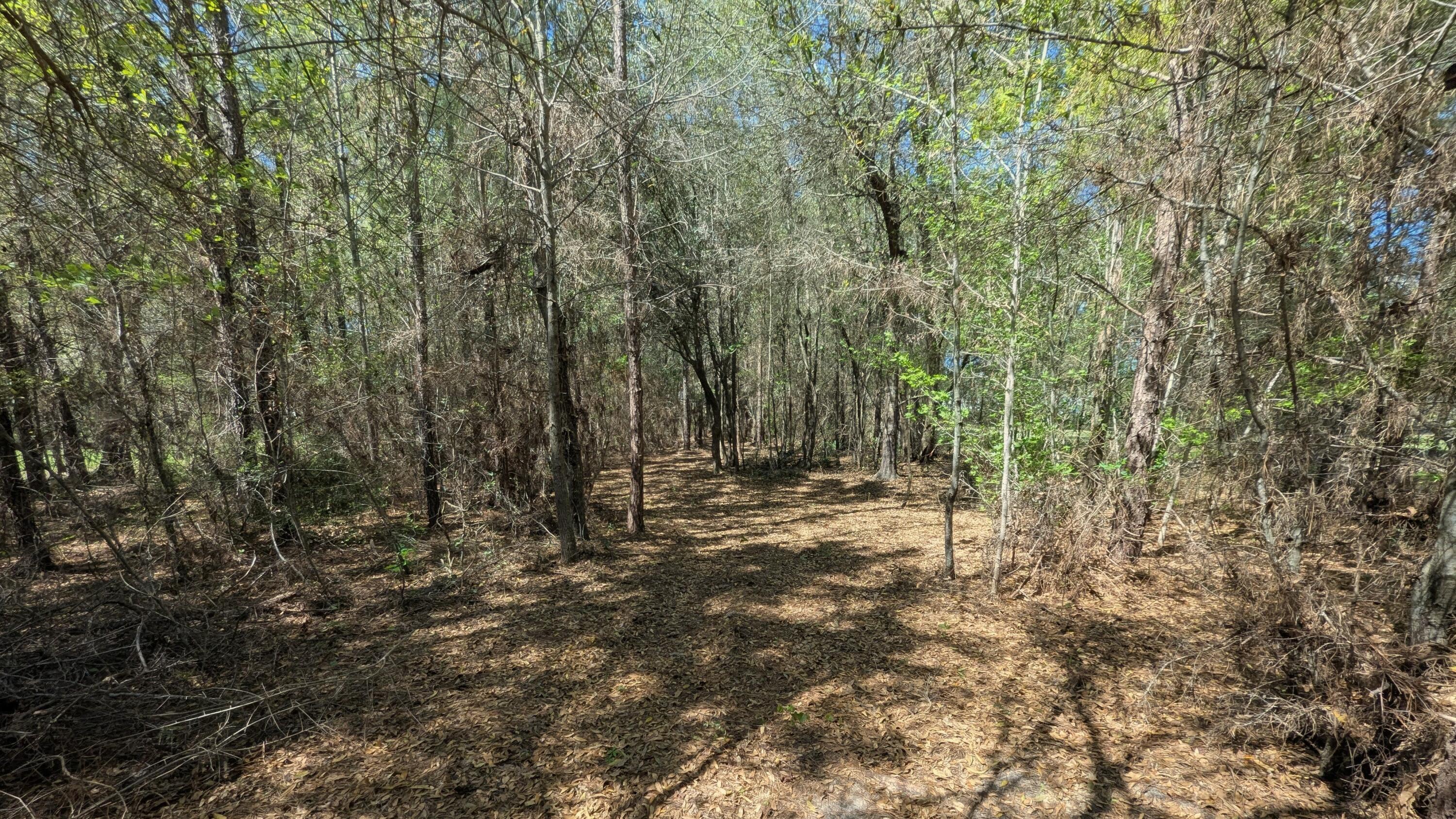 132 Oak Estates Way Ridgeville, SC 29472 - Photo 24 of 26 1000004641