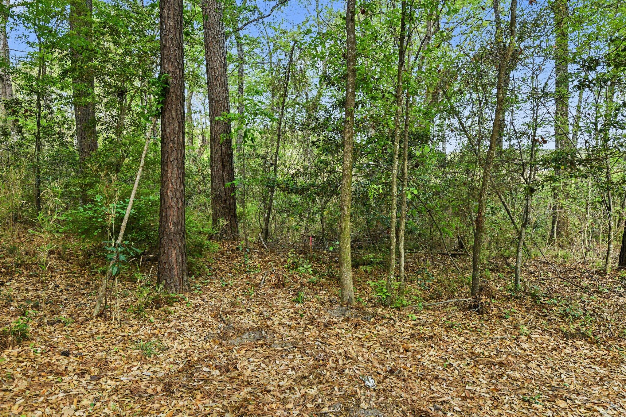 132 Oak Estates Way Ridgeville, SC 29472 - Photo 26 of 26 015_file_4551