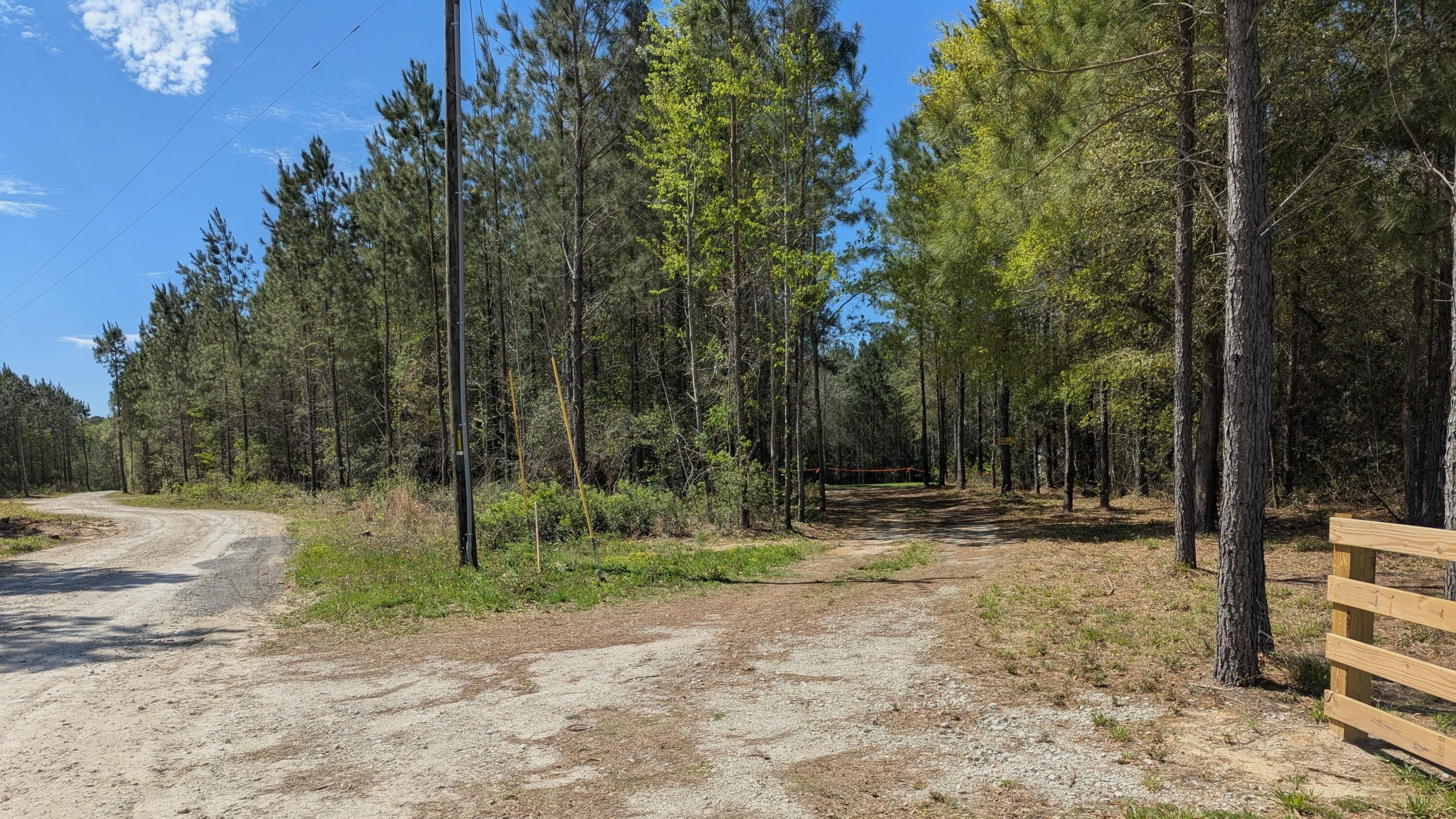 132 Oak Estates Way Ridgeville, SC 29472 - Photo 3 of 26 1000004660