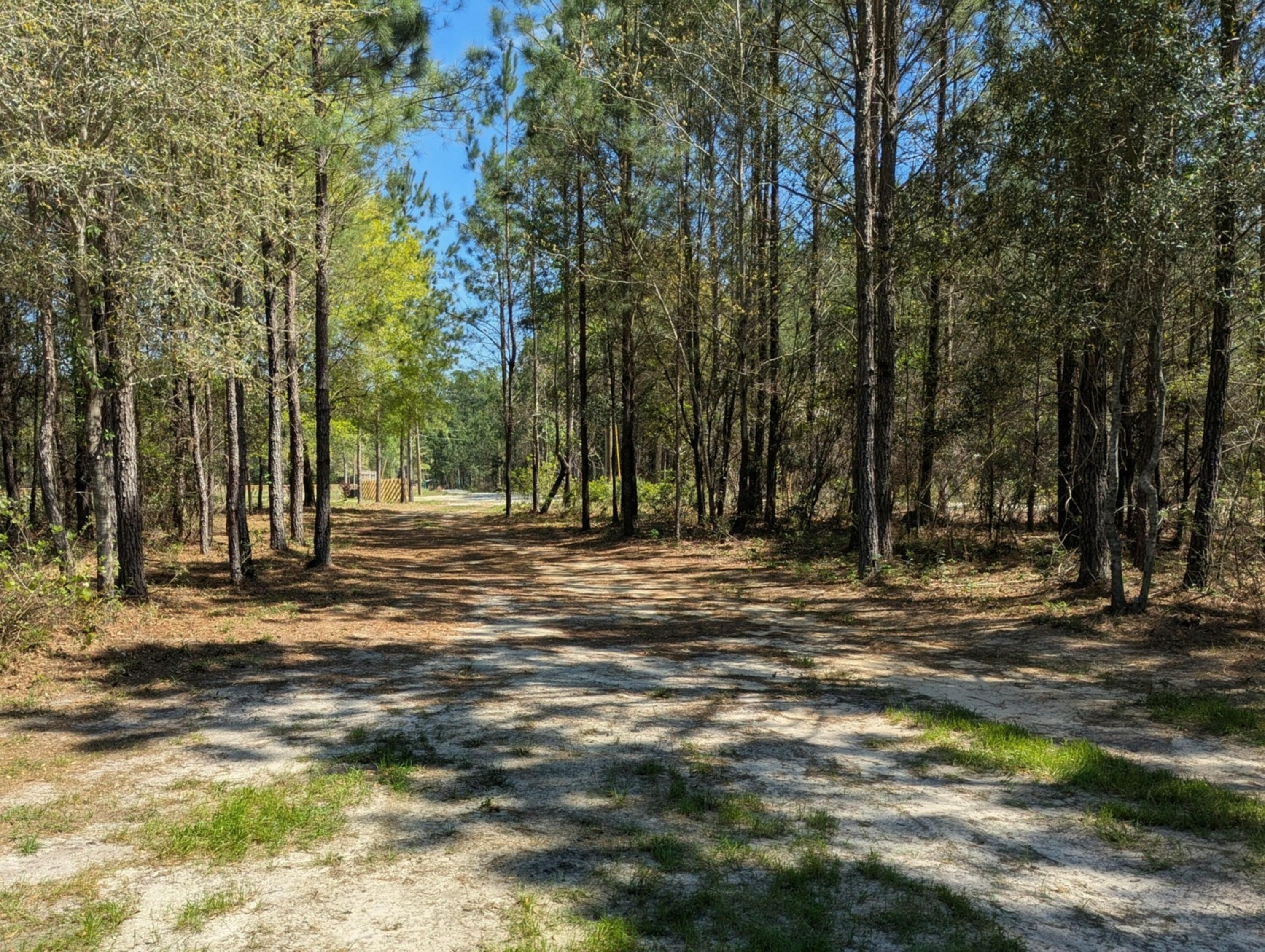 132 Oak Estates Way Ridgeville, SC 29472 - Photo 4 of 26 1000004658