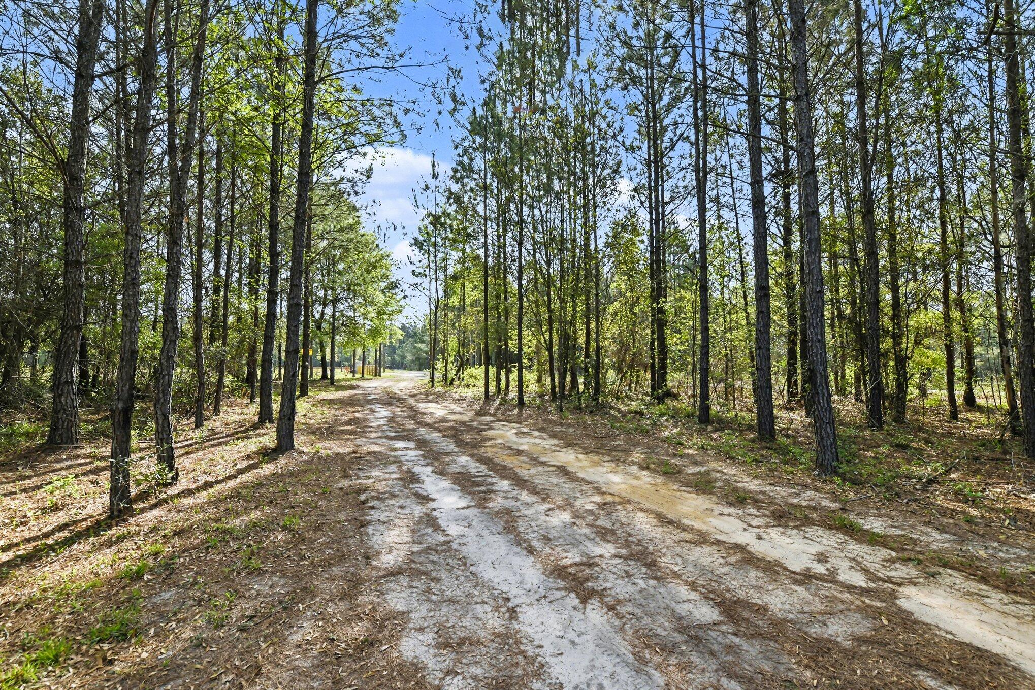 132 Oak Estates Way Ridgeville, SC 29472 - Photo 5 of 26 005_file_8031
