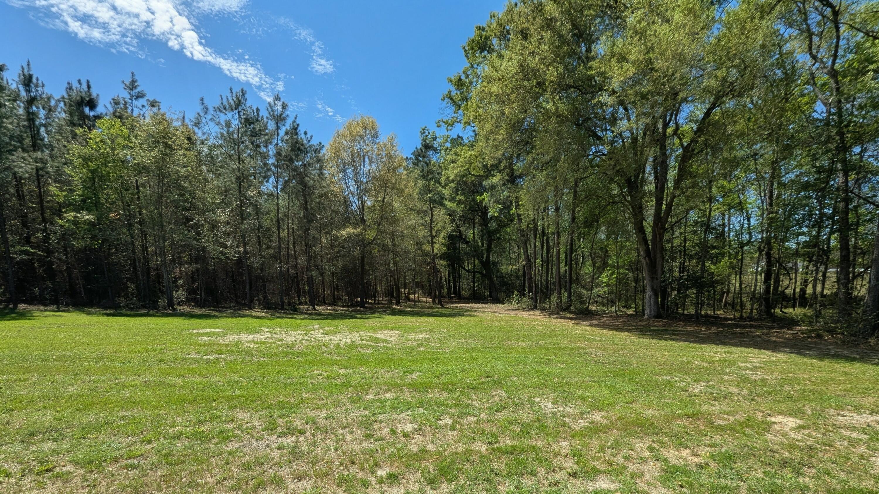 132 Oak Estates Way Ridgeville, SC 29472 - Photo 7 of 26 1000004651