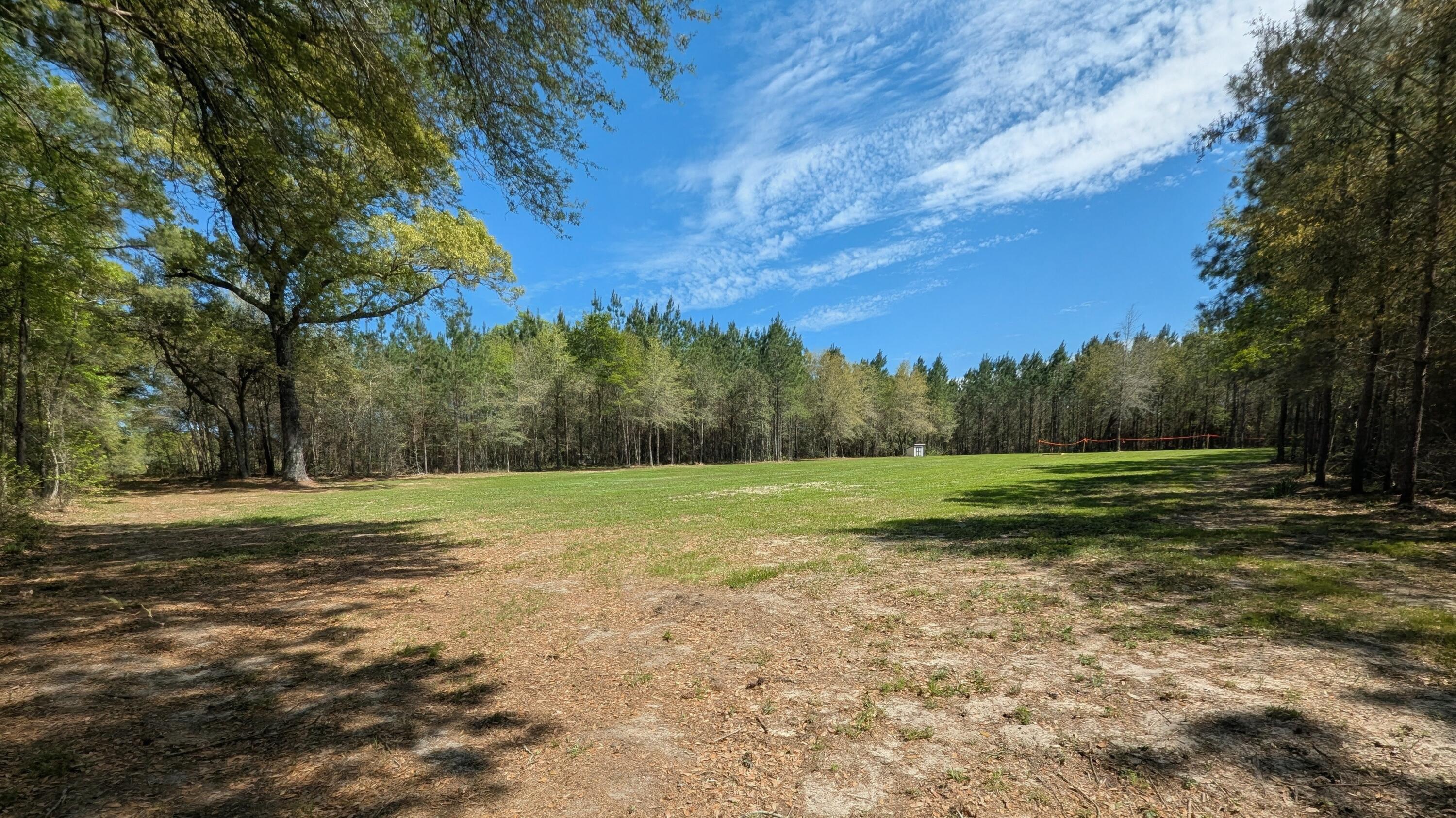 132 Oak Estates Way Ridgeville, SC 29472 - Photo 9 of 26 1000004648