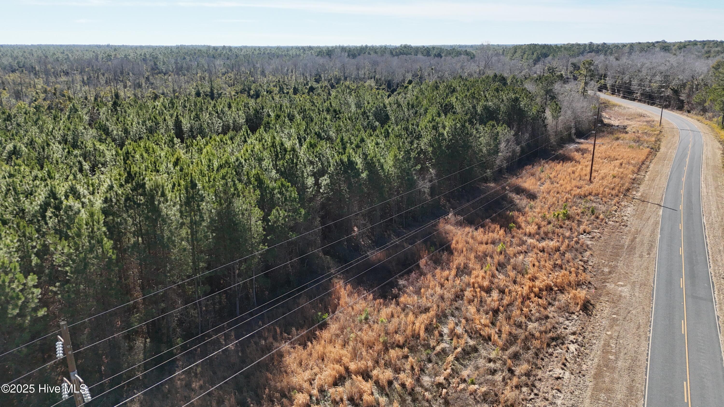 1 Wade Smith Road Garland, NC 28441 - Photo 7 of 7 DJI_20250129131728_0152_D
