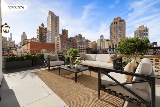 a roof deck with couches and a potted plant on a table