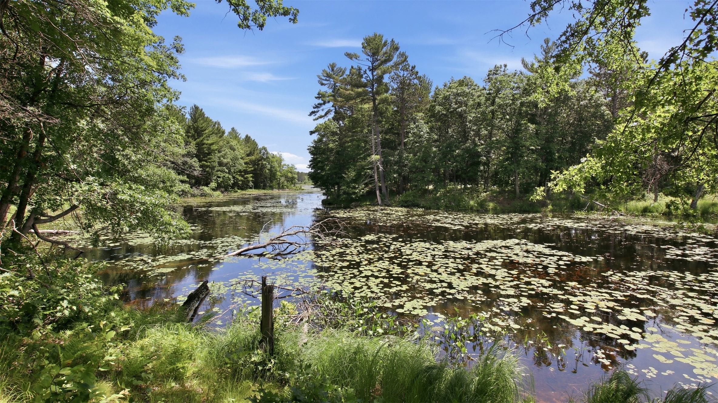 0 Little Bass Lake Road Spooner, WI 54801 - Photo 33 of 40 Gallery Image 33