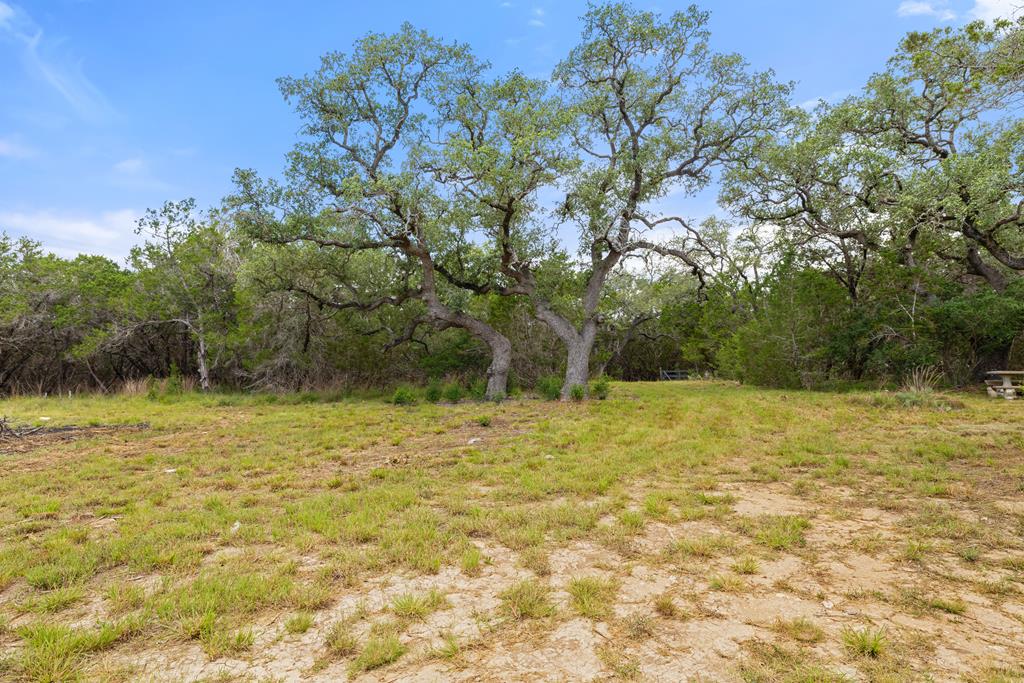 577 Rocky River Road, Unit 8 Blanco, TX 78606 - Photo 1 of 14 Main View