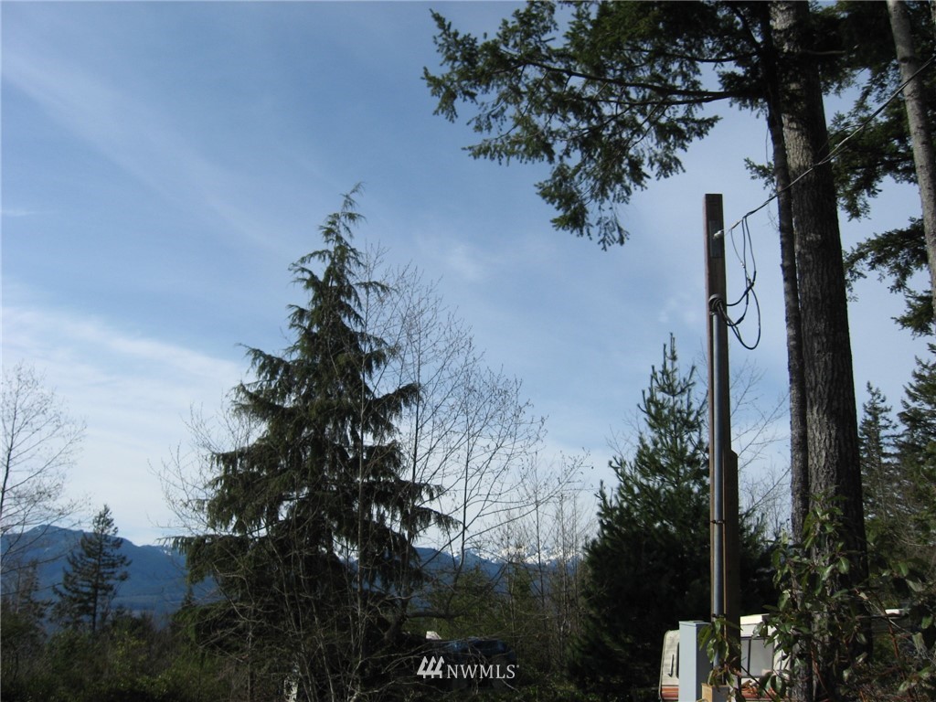 8552 Coyle Road Quilcene, WA 98376 - Photo 9 of 9 Gallery Image 9
