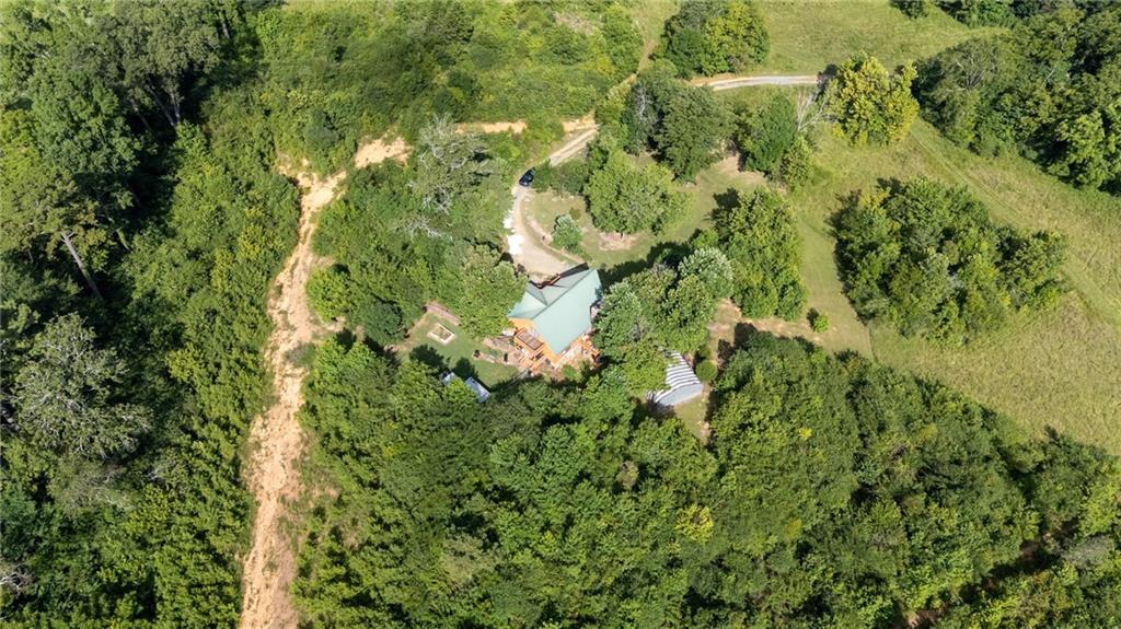 1001 Liberty Church Road Northeast Ranger, GA 30734 - Photo 6 of 40 a close up of a lush green forest