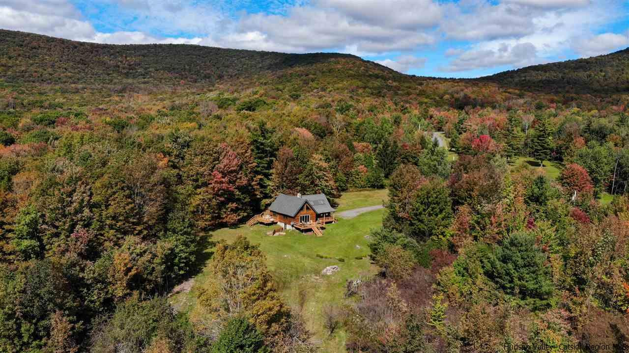 391 Tumbleweed Ranch Road West Kill, NY 12492 - Photo 32 of 35 a view of a forest with mountains in the background