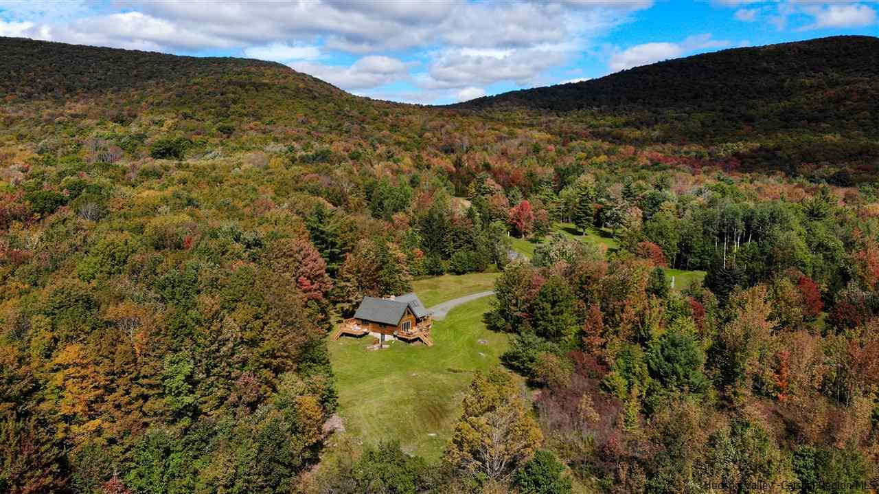 391 Tumbleweed Ranch Road West Kill, NY 12492 - Photo 33 of 35 a view of a forest