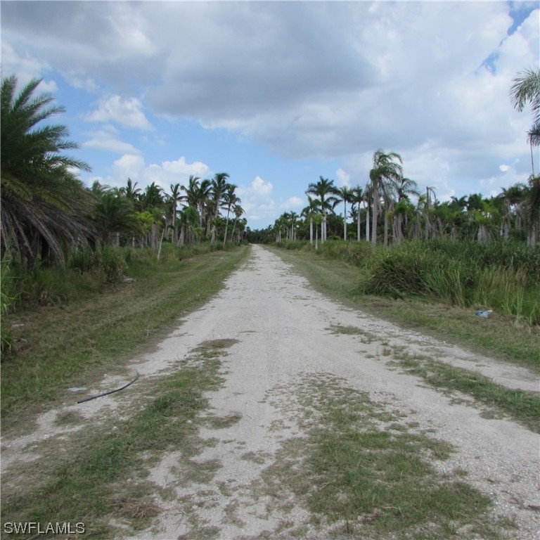 14900 Stringfellow Road Bokeelia, FL 33922 - Photo 32 of 38 a view of a road with a yard