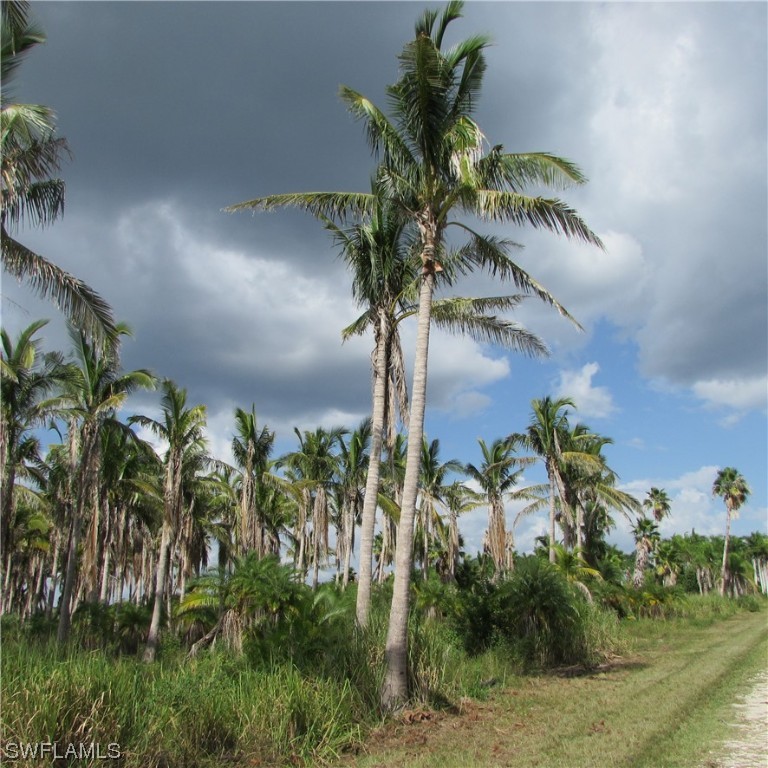 14900 Stringfellow Road Bokeelia, FL 33922 - Photo 35 of 38
