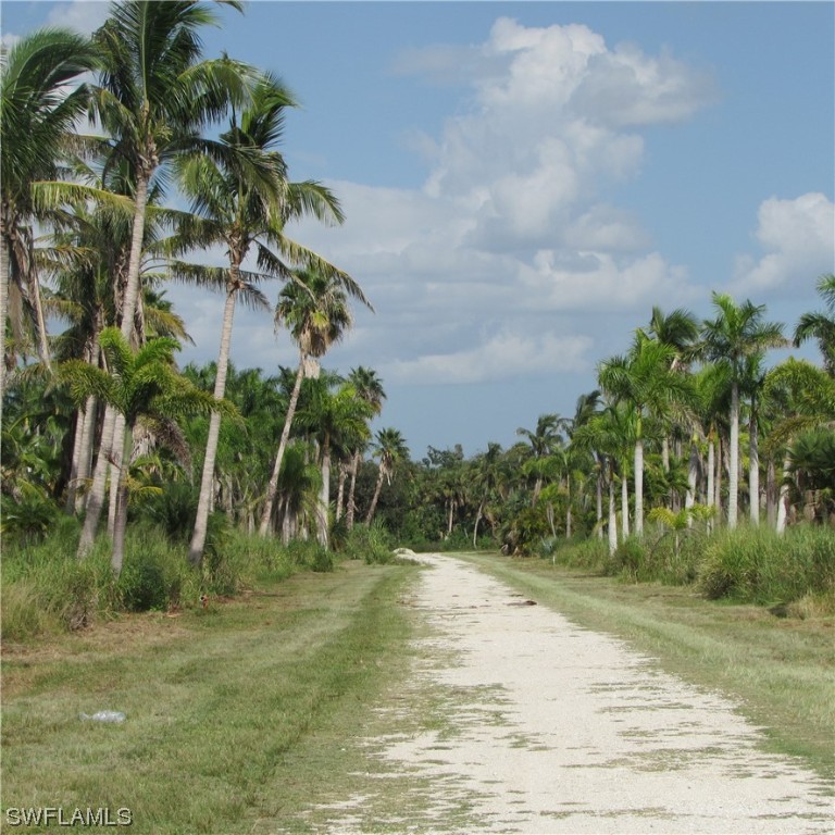 14900 Stringfellow Road Bokeelia, FL 33922 - Photo 37 of 38 a view of a yard