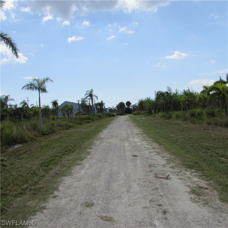 14900 Stringfellow Road Bokeelia, FL 33922 - Photo 5 of 38 a view of a dry yard with trees in the background