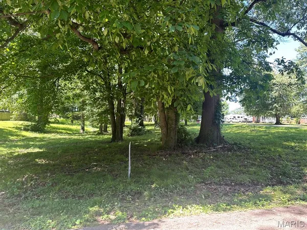 $29,900 | 0 Lewis & Albert Street, Dexter, MO 63841