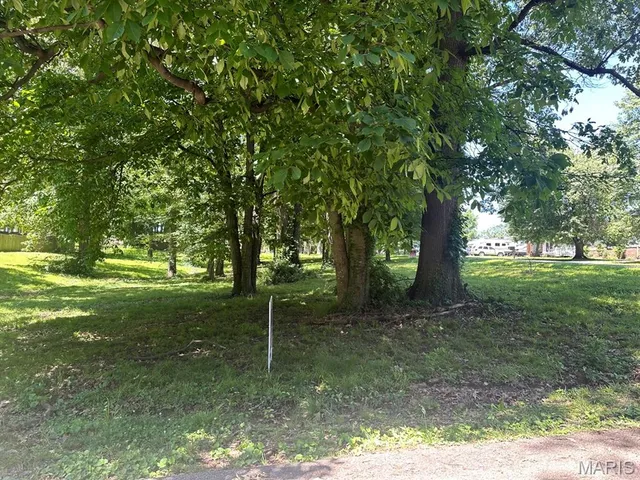 $29,900 | 0 Lewis & Albert Street, Dexter, MO 63841