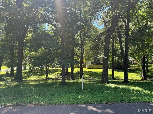 $29,900 | 0 Lewis & Albert Street, Dexter, MO 63841