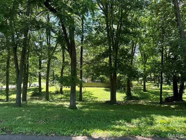 $29,900 | 0 Lewis & Albert Street, Dexter, MO 63841