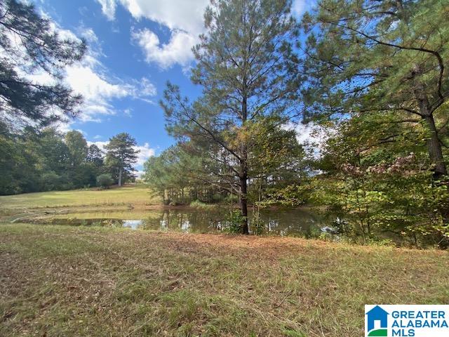 404 Kornegay Road Oneonta, AL 35121 - Photo 26 of 44