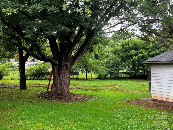 a view of a garden with a tree