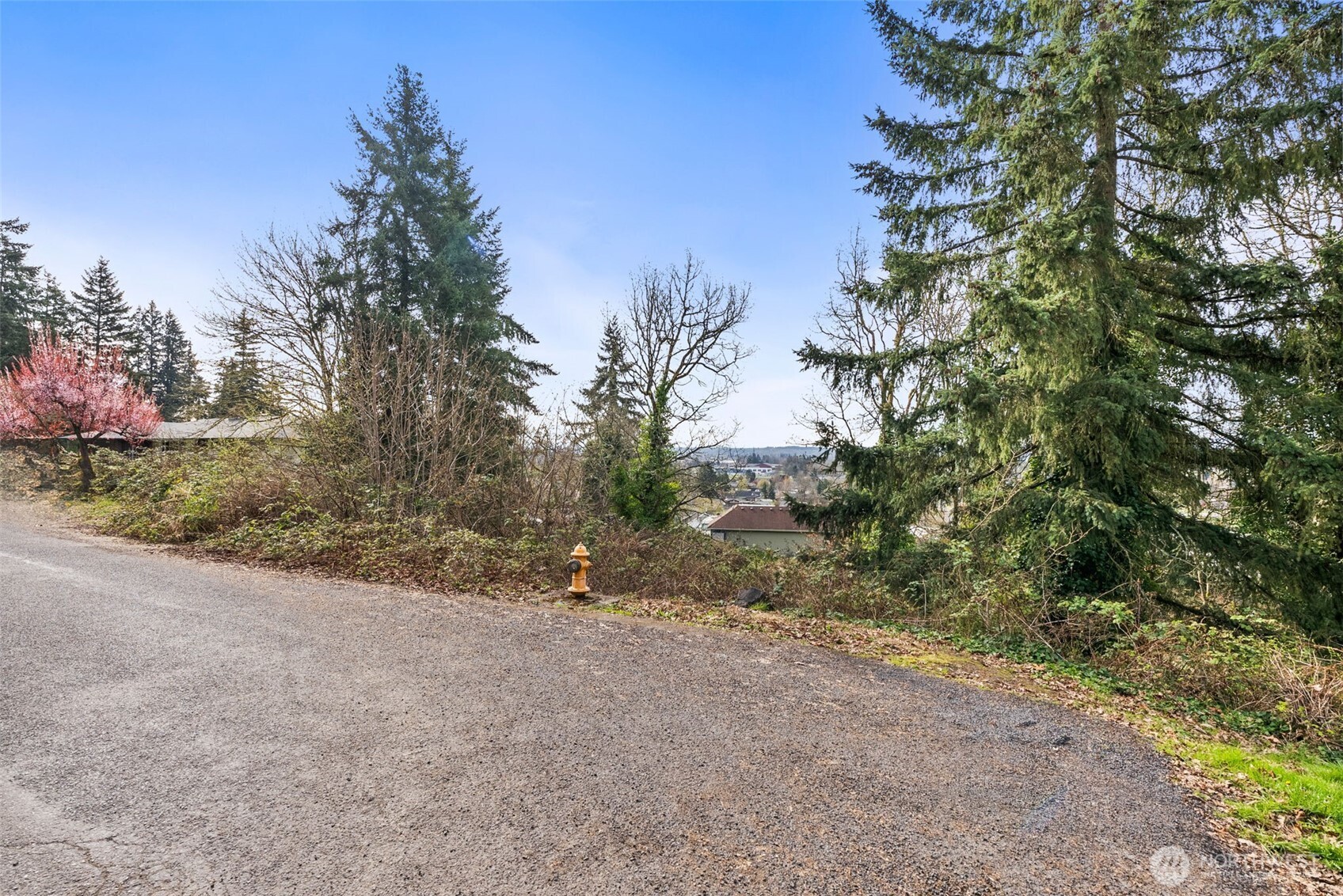 0 South Market Boulevard Chehalis, WA 98532 - Photo 14 of 14