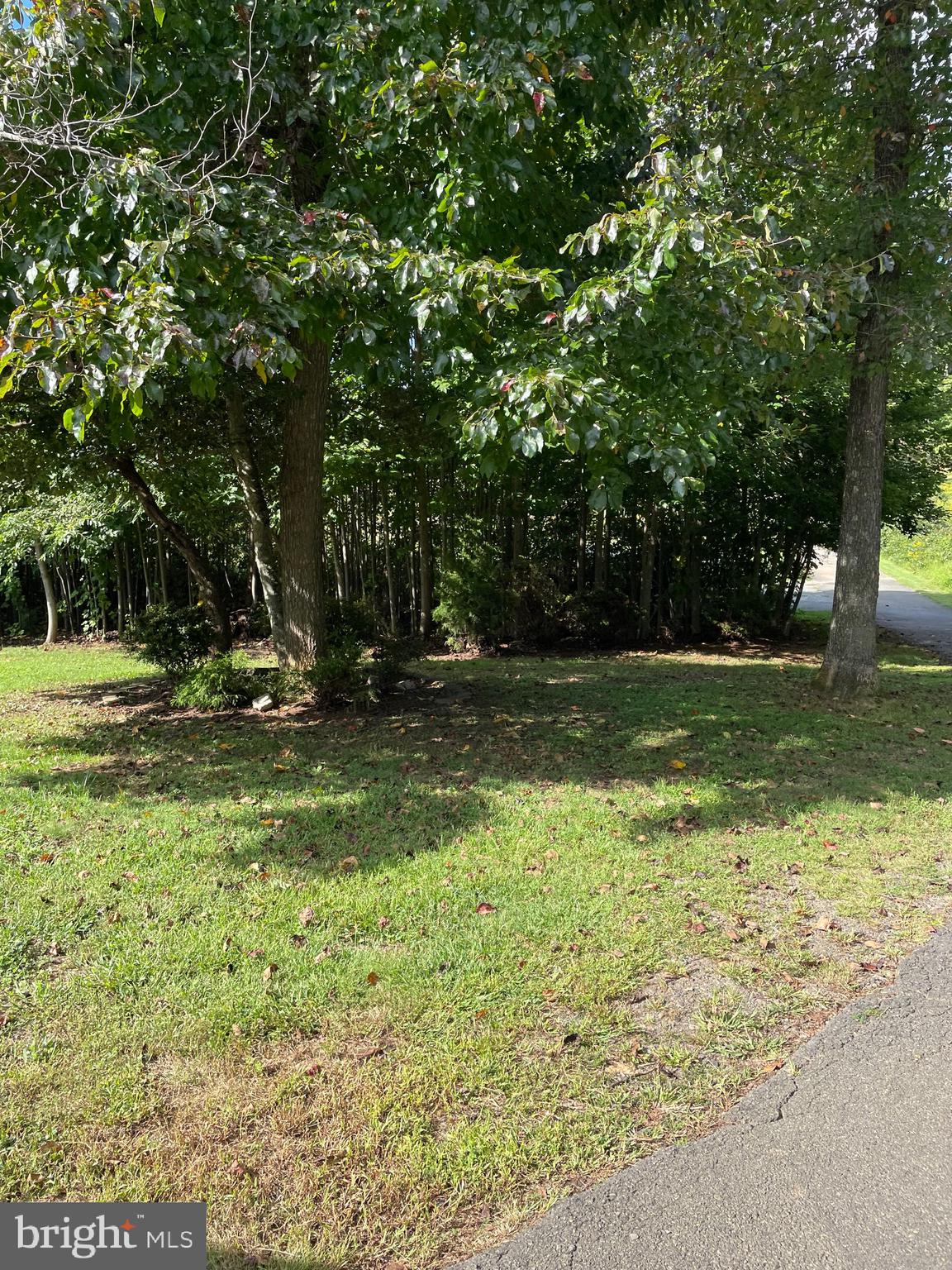 3155 Midland Road Midland, VA 22728 - Photo 58 of 83 Gallery Image 58