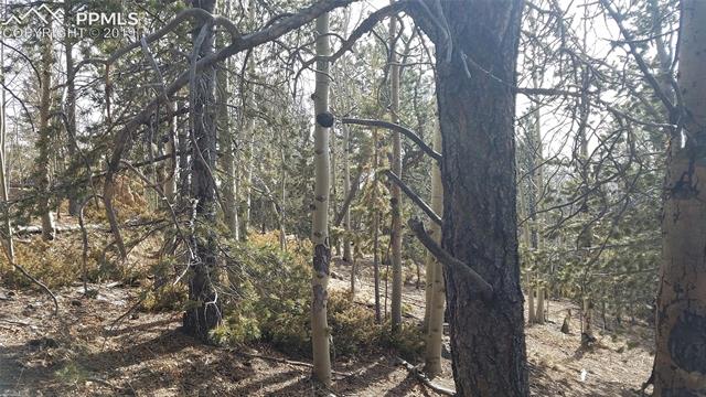 826 Princess Road Cripple Creek, CO 80813 - Photo 23 of 33 Gallery Image 23