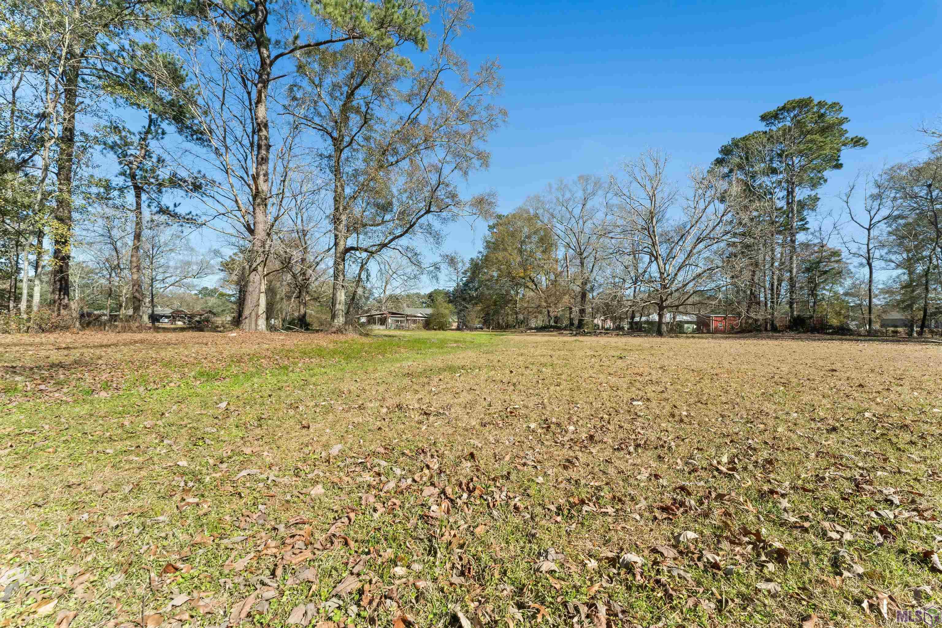 12944 Pleasant Ridge Drive Walker, LA 70785 - Photo 43 of 44