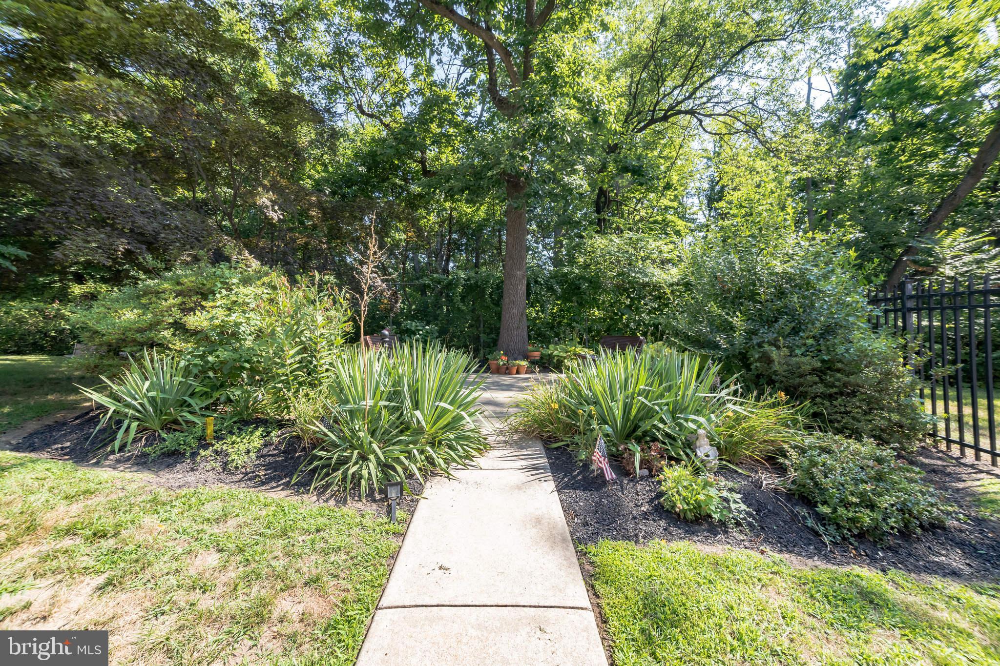 6100 Henry Avenue, Unit 4I Philadelphia, PA 19128 - Photo 23 of 30 a view of path in between the bunch of plants and trees