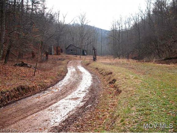 0 C Road Smithville, WV 26178 - Photo 4 of 9 Gallery Image 4