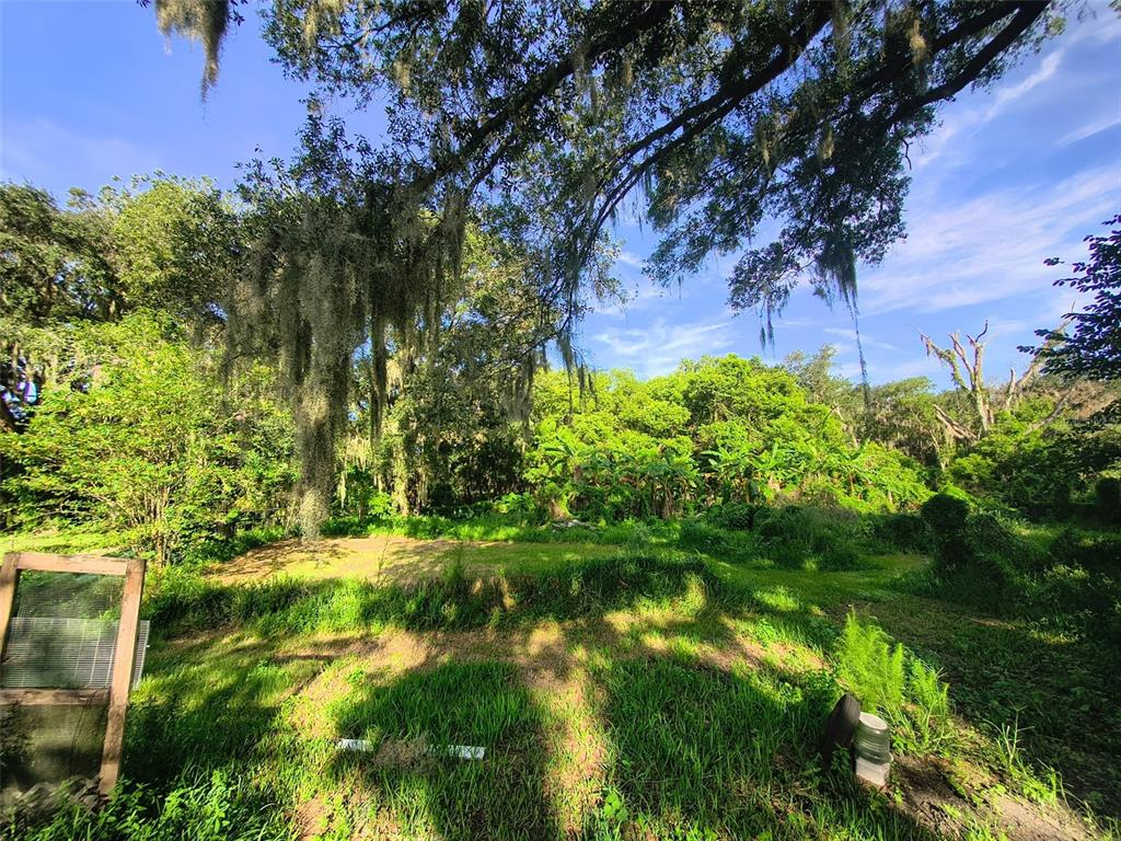 3609 Maxwell Road Plant City, FL 33566 - Photo 17 of 33 Gallery Image 17