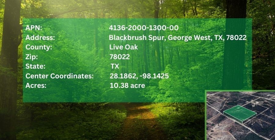 0 Blackbrush Spur George West, TX 78022 - Photo 11 of 11 a view of a back yard