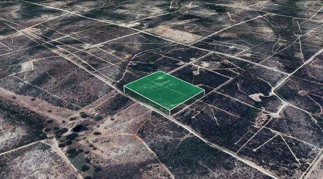 a green field with lots of trees in the background