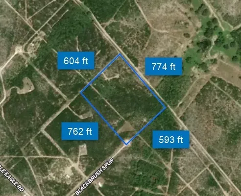 a view of a back yard