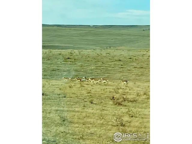 $585,000 | 9221 County Road 110, Carr, CO 80612