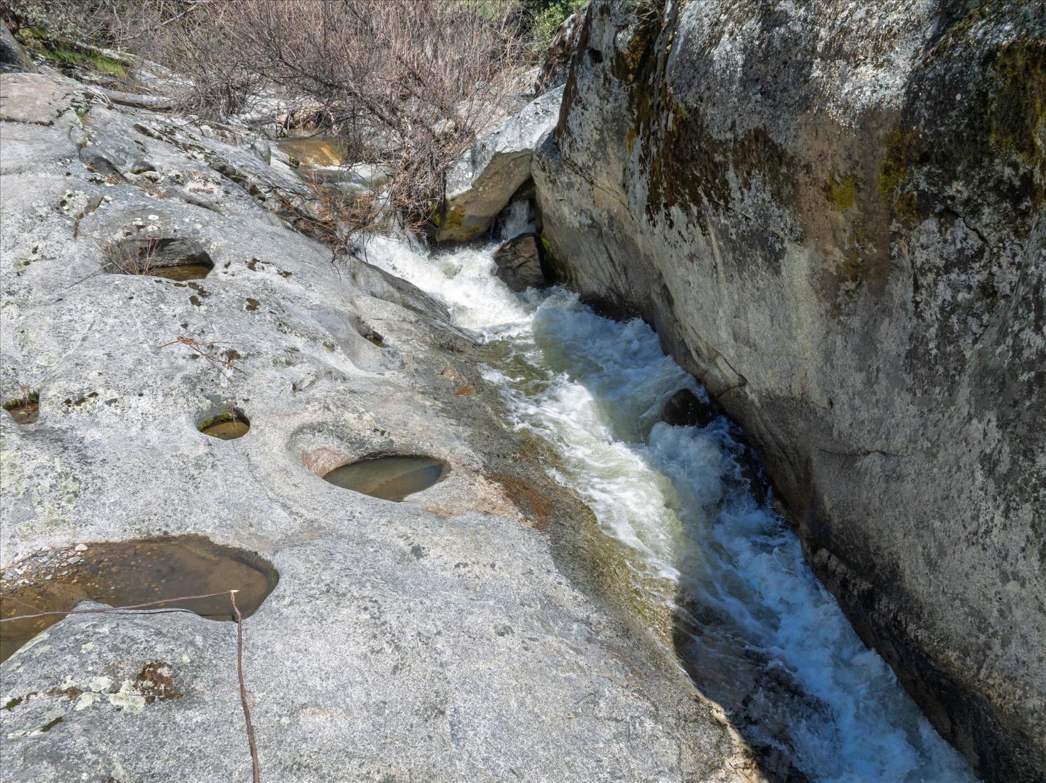 42324 Buckeye Road Oakhurst, CA 93644 - Photo 42 of 45 a view of a backyard of a house