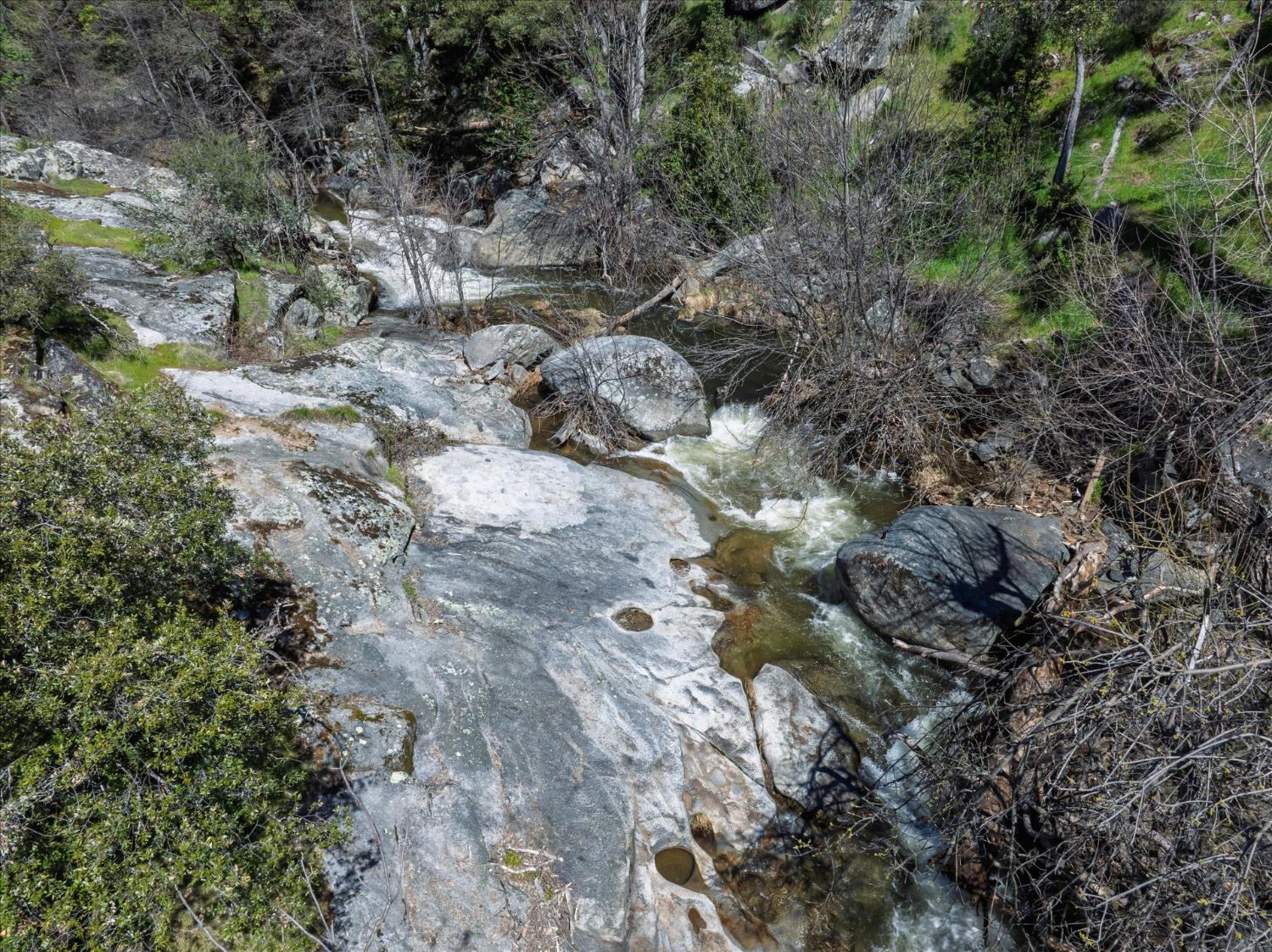 42324 Buckeye Road Oakhurst, CA 93644 - Photo 44 of 45 a view of plant in middle of forest