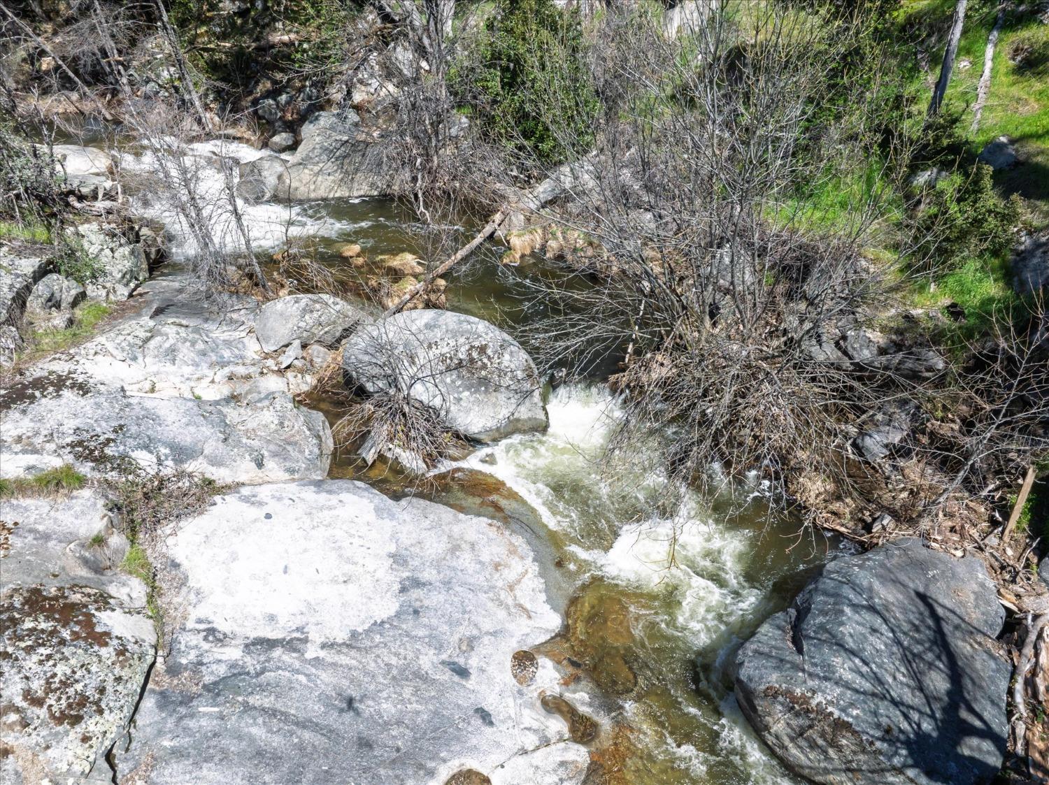 42324 Buckeye Road Oakhurst, CA 93644 - Photo 45 of 45 a view of water tree