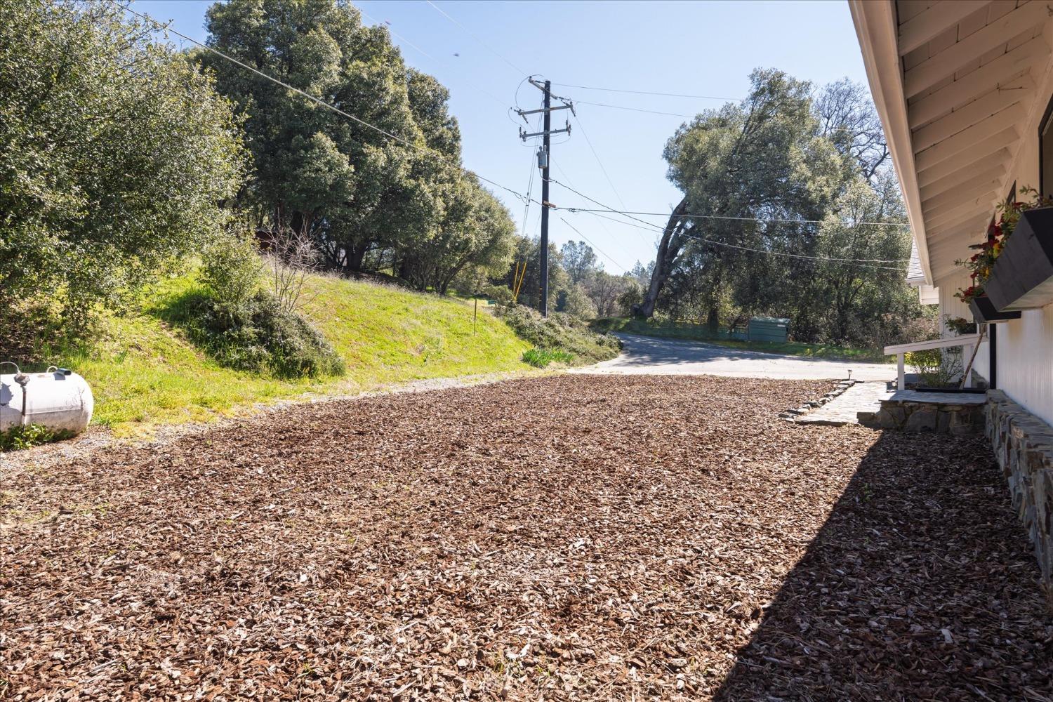 42324 Buckeye Road Oakhurst, CA 93644 - Photo 5 of 45 a view of a yard with trees
