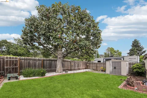 a view of a backyard with a garden and trees