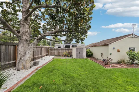 a view of a backyard with table and chairs and a large tree