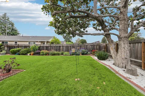 a view of a house with backyard and a tree