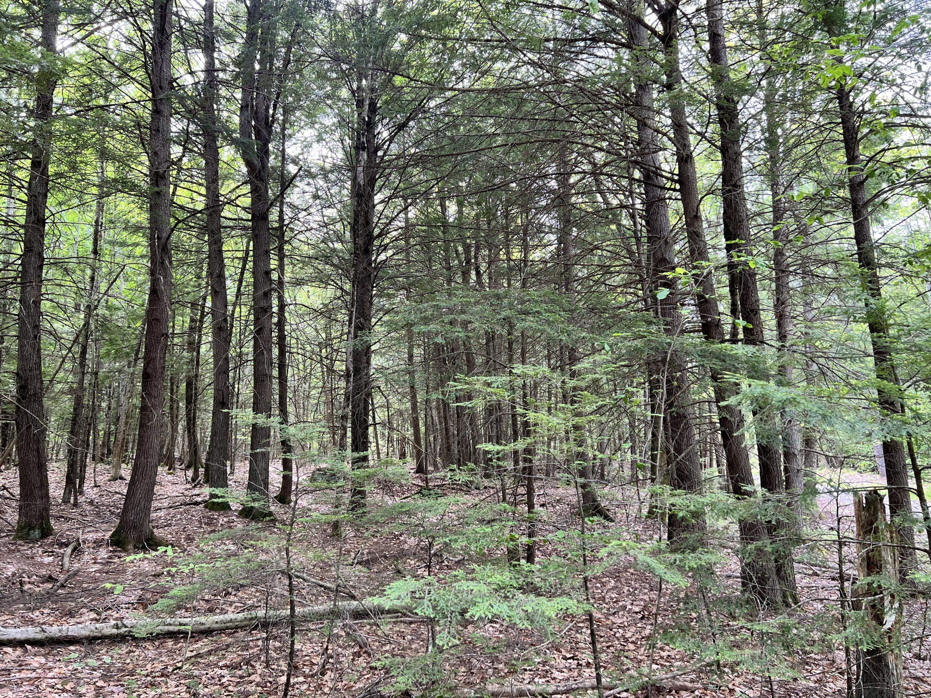 139 A Pratt Road Bowdoinham, ME 04008 - Photo 2 of 17 19