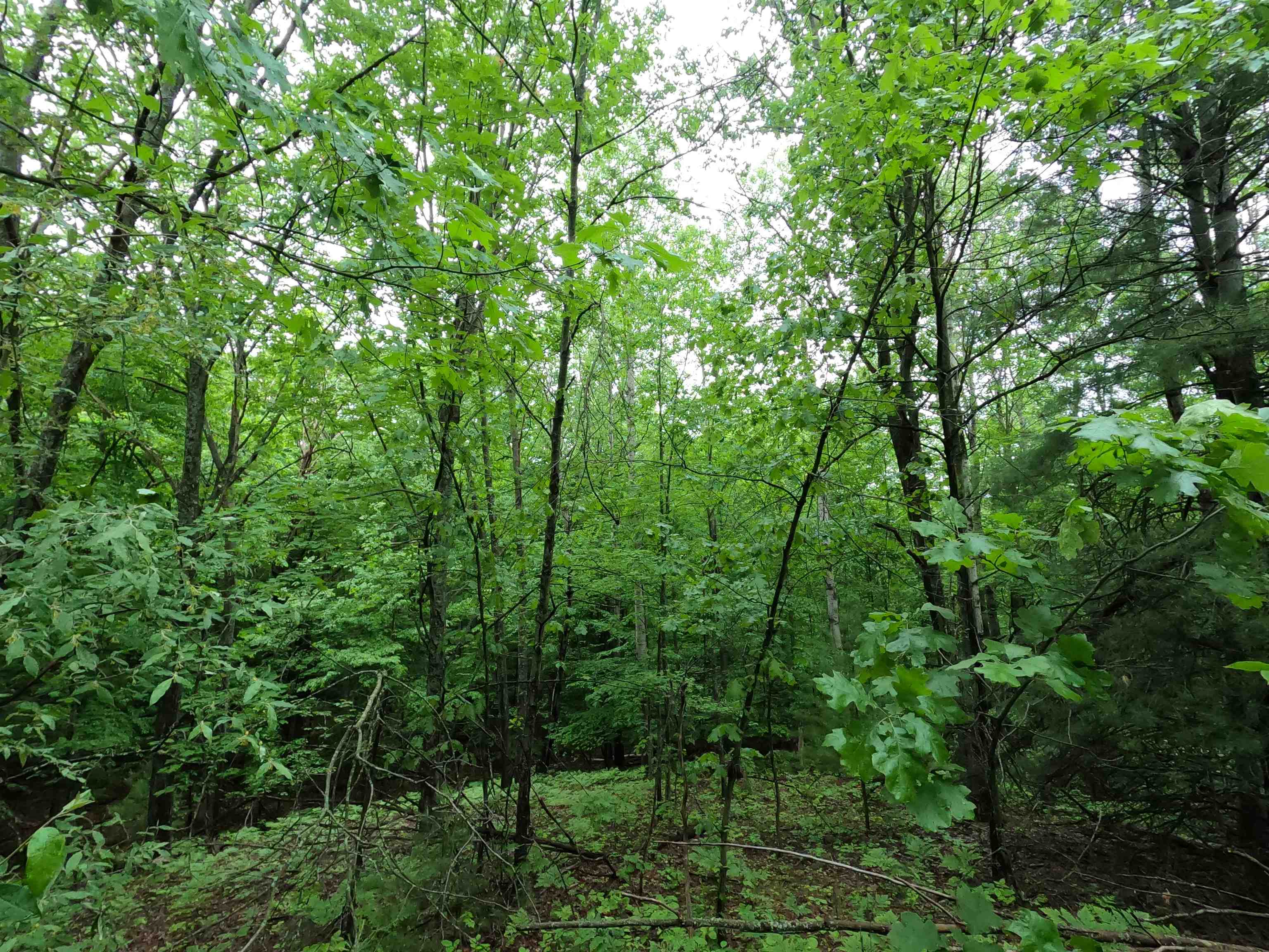 2779 Five Mile Road Traverse City, MI 49686 - Photo 16 of 19 1901192-15.JPG