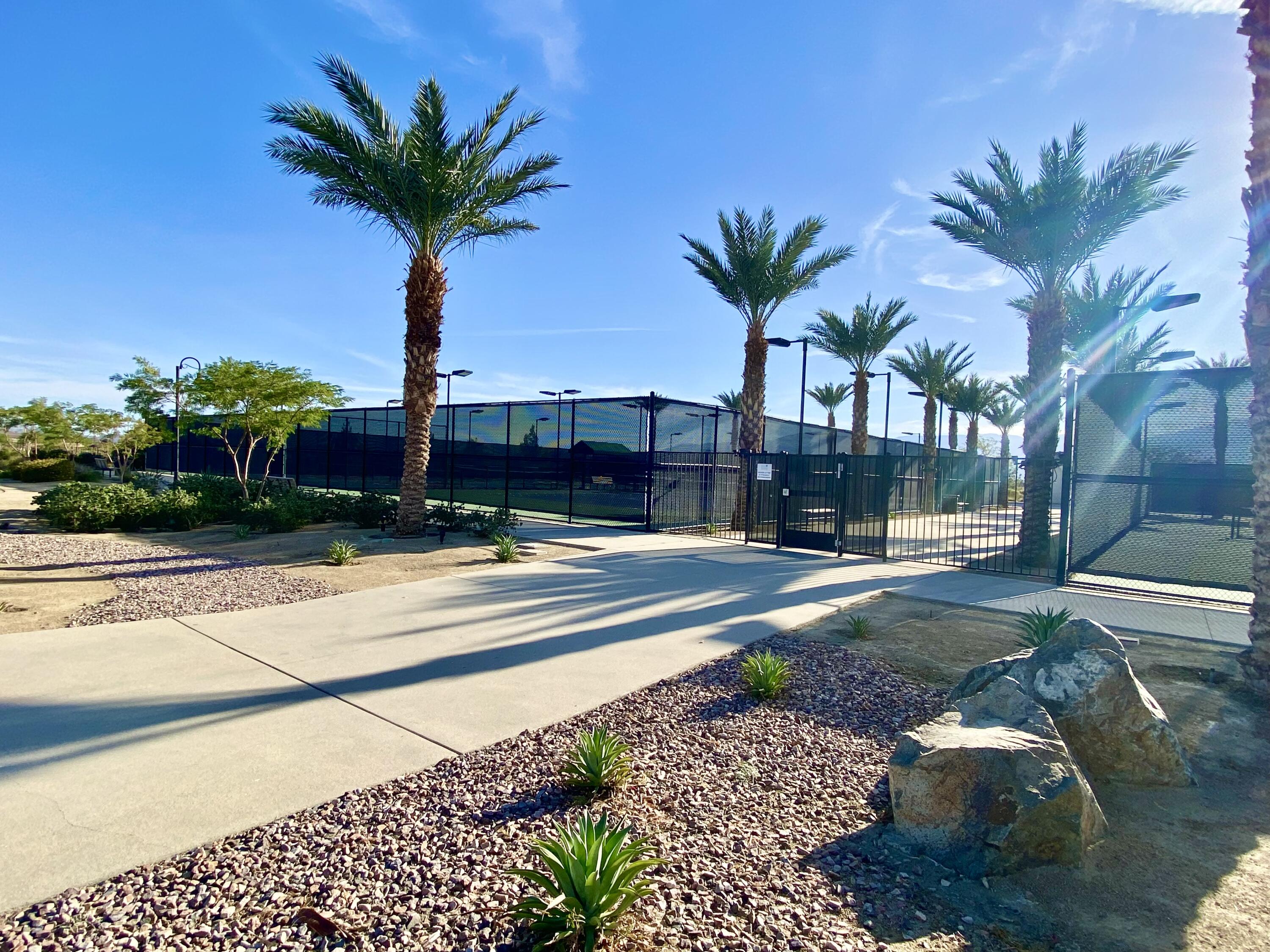 43573 Adria Drive Indio, CA 92203 - Photo 60 of 63 a view of a backyard with palm trees